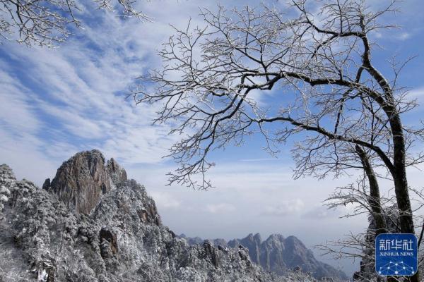 雪后黄山美图来了！银装素裹，宛如仙境