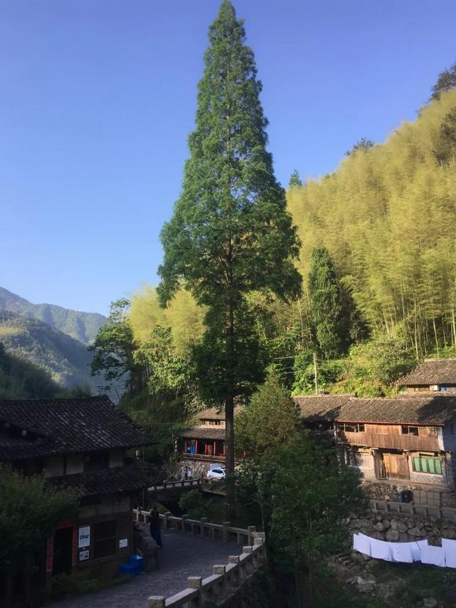 「景区｜温州永嘉两日游」浙南天柱——石桅岩