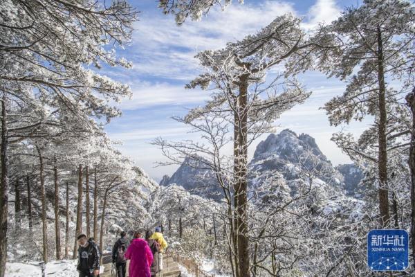 雪后黄山美图来了！银装素裹，宛如仙境