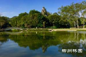 美女照镜(柳州市龙潭公园网红景点——美女照镜)