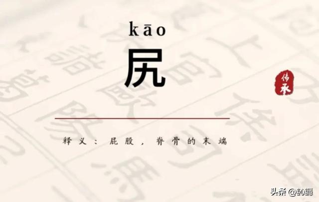 “凥”和“尻”怎么读？啥意思？跟尸体真没关系？星爷也爱说这字