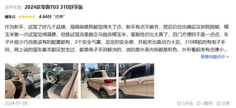 预算5万想买纯电小车，零跑T03是否值得买？听听车主怎么说