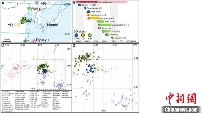 古代东亚如何南北交流东西融合？山东人群古基因组研究揭秘