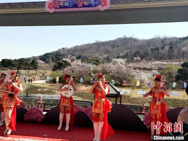 辽宁沈阳：杏花仙子醉美舞动千亩杏花林