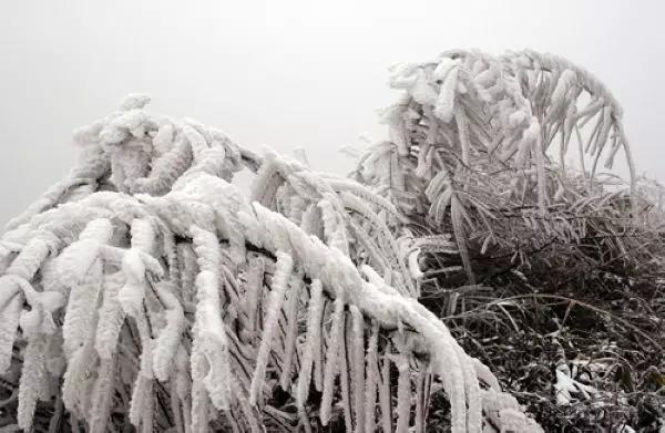 重庆这几个地方的“冰雪奇缘”之旅，去一次，再冷都值了！