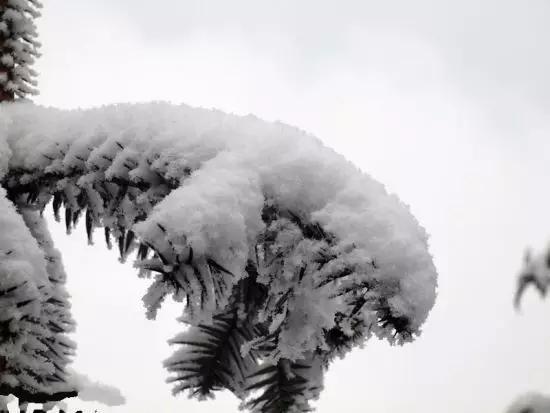 重庆这几个地方的“冰雪奇缘”之旅，去一次，再冷都值了！