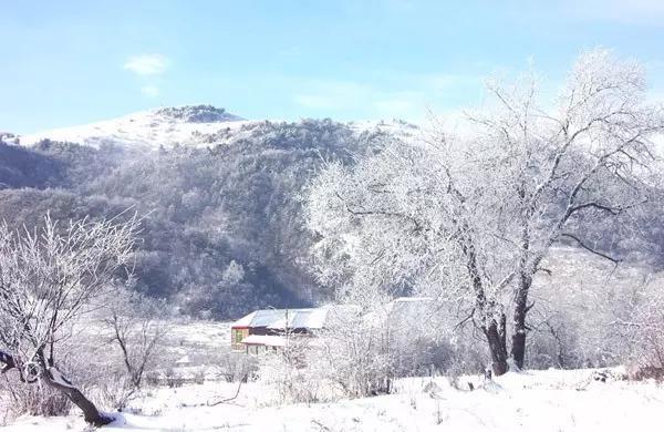 重庆这几个地方的“冰雪奇缘”之旅，去一次，再冷都值了！