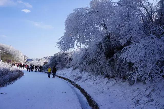 重庆这几个地方的“冰雪奇缘”之旅，去一次，再冷都值了！