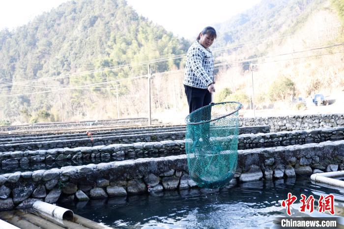 （新春走基层）浙江衢州古村落“焕新记”：在“源头”留住乡愁