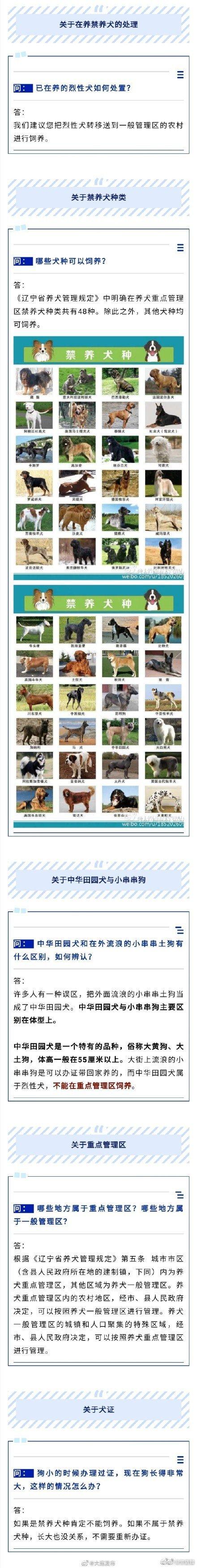 大连有奖举报48种禁养犬，大连市区禁养中华田园犬