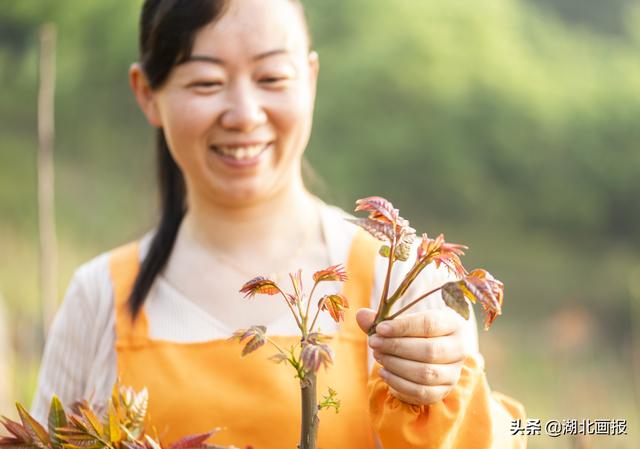 “椿姑娘”的致富路