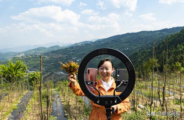 “椿姑娘”的致富路