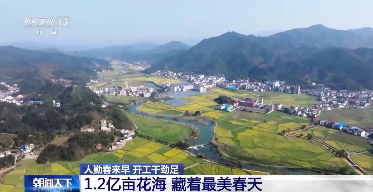 人勤春来早 开工干劲足丨花田火锅、花田咖啡 花海背后藏着消费新场景