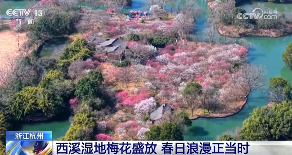 “赏花经济”带动文旅市场春潮涌动 为城乡消费注入蓬勃动能