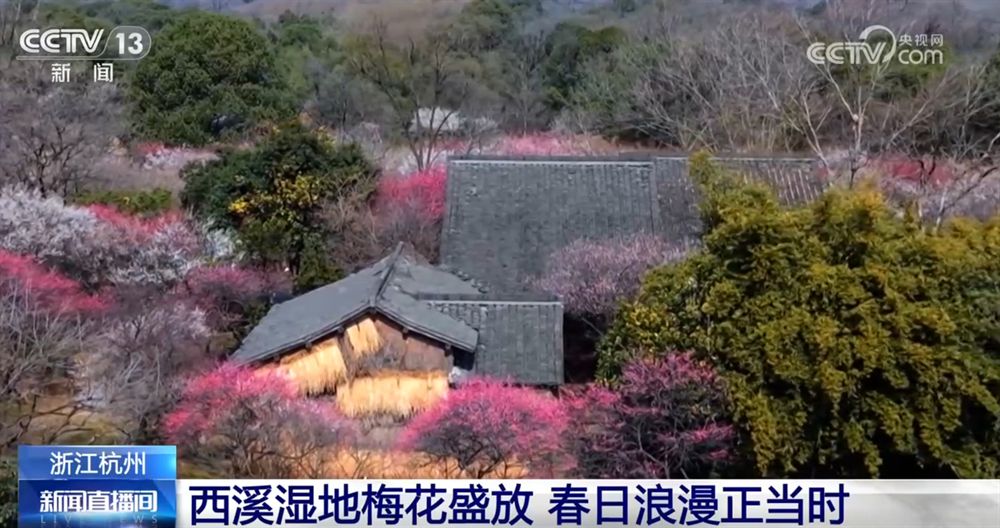 “赏花经济”带动文旅市场春潮涌动 为城乡消费注入蓬勃动能