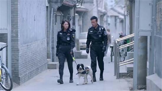 警花与警犬 剧中的爱情观