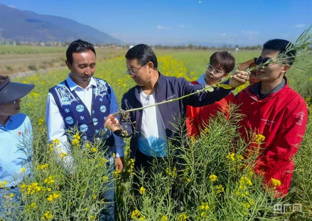 【牢记嘱托·看见美好中国】守护洱海清波，让美景永驻人间