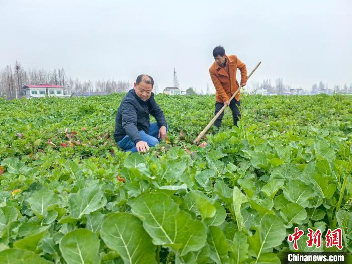 智慧生产线“点亮”湖南南县振兴路