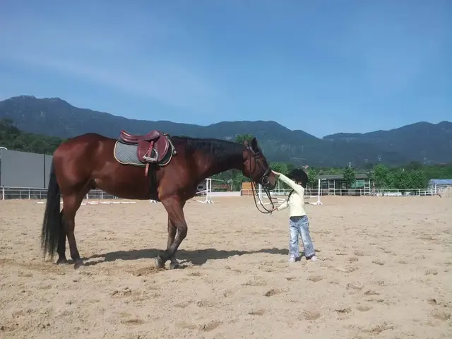 穿山越海，“云游”海沧！我们直播见