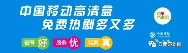 彝乡绣娘的脱贫故事 锁定3月13日晚21：30东方卫视《我们在行动》