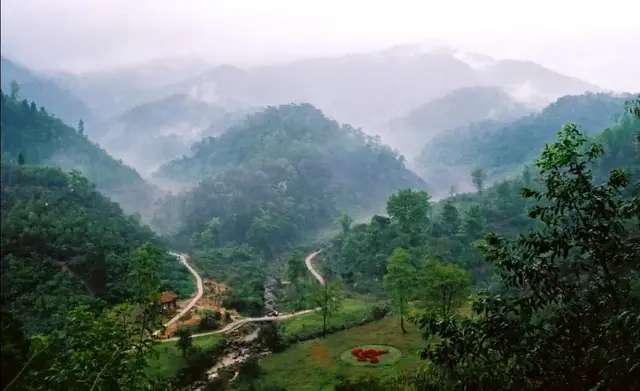 穿山越海，“云游”海沧！我们直播见