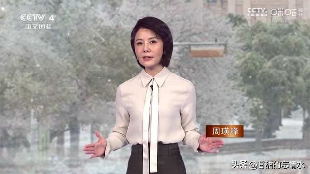 央视中文国际频道十大新闻美女主播，谁实力最强？