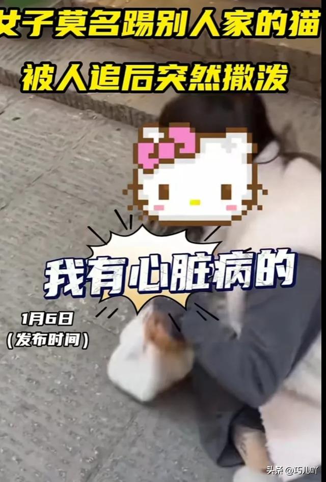 女子莫名踢别人的猫，被路人追问倒地撒泼称有心脏病。网友吵翻天